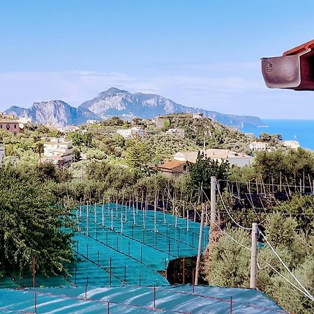 La Lobra Dependance Villa Маса Лубрензе Екстериор снимка